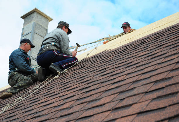 Quick and Trustworthy Emergency Roof Repair Services in Maquoketa, IA