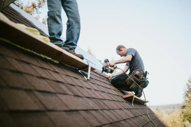 Best Flat Roof Repair Services  in Maquoketa, IA